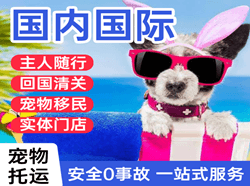 秦皇岛航空快运国际宠物托运 【国